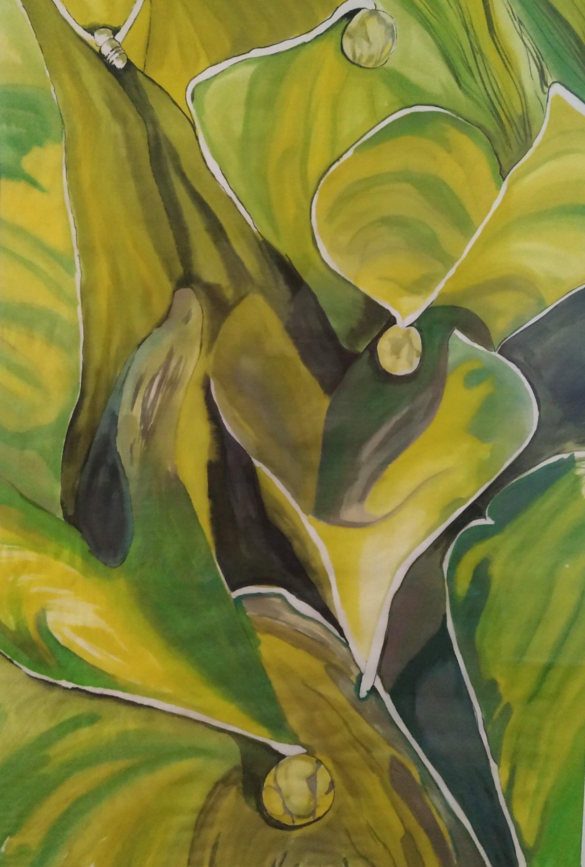 Angela García - acuarela